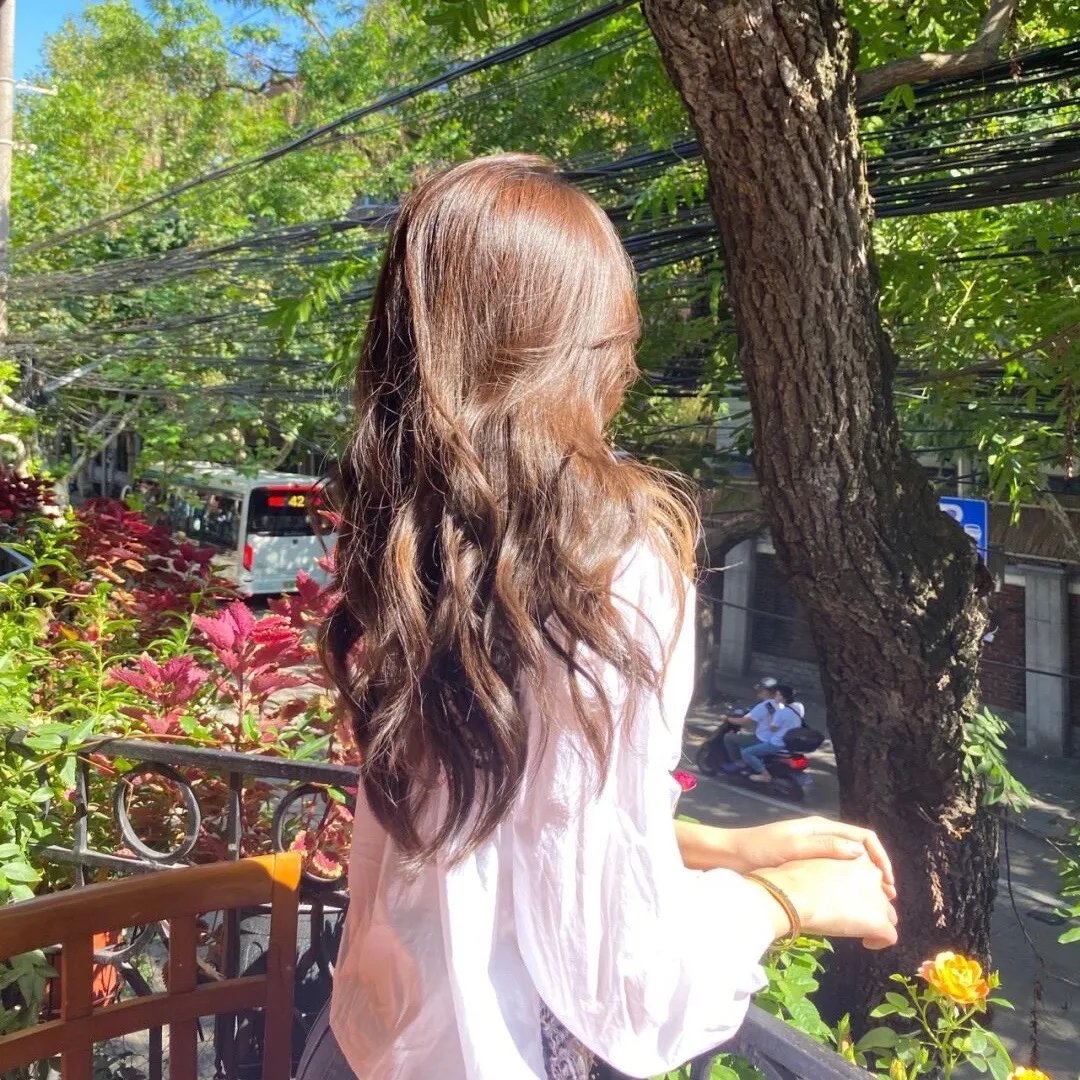 月季花开