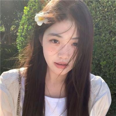 完美家庭2024
